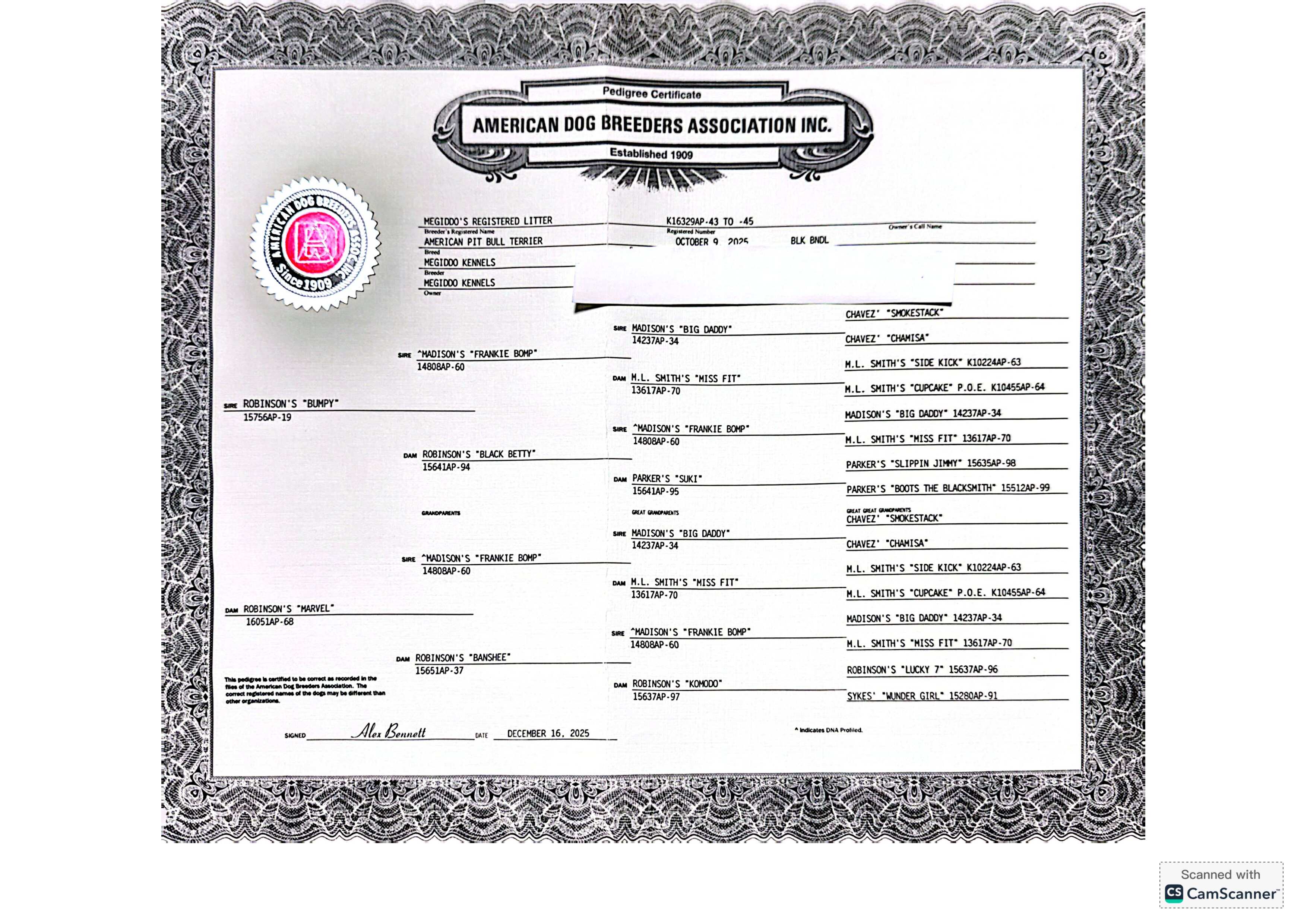 ADBA Litter Pedigree Certificate