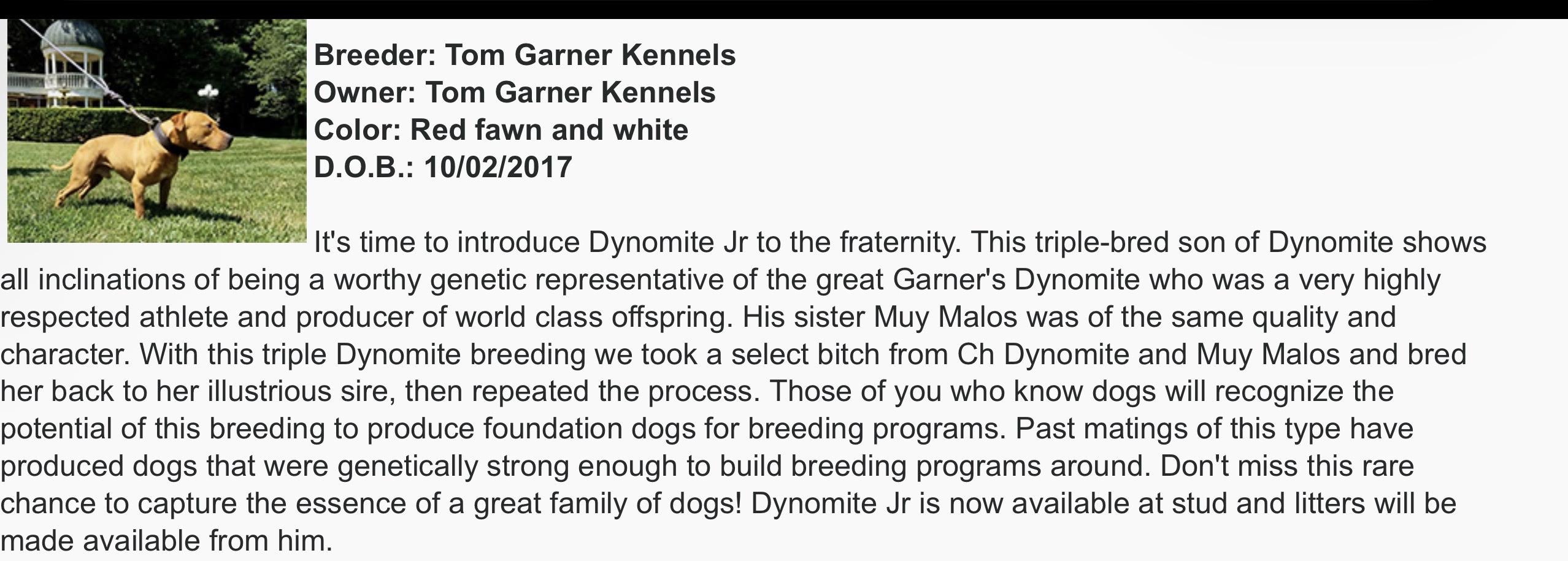 Garner's Dynomite Jr breeder write-up